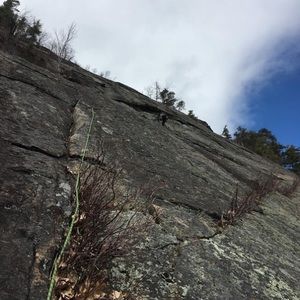 Meet your Posher, Heidi